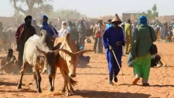Fulani Herdsmen Are R*ping And Killing Our People – Enugu Women